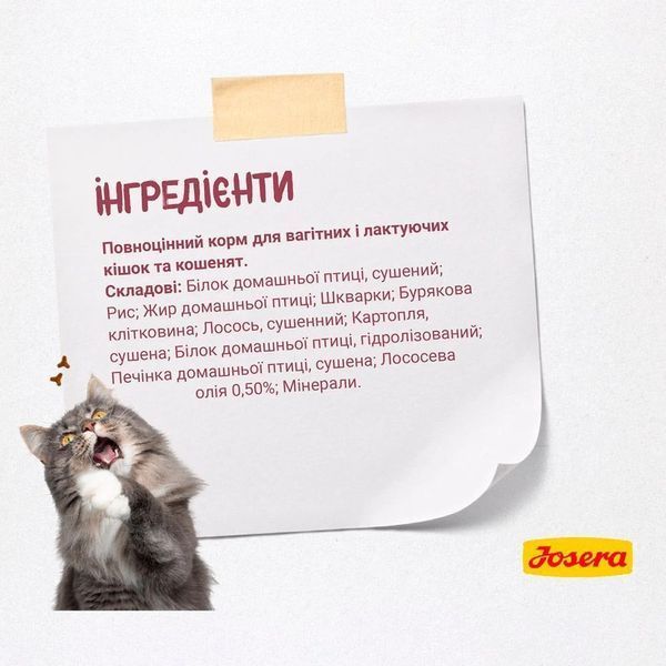 Josera Cat Kitten сухий корм для кошенят і вагітних кішок 2 кг 100577 фото