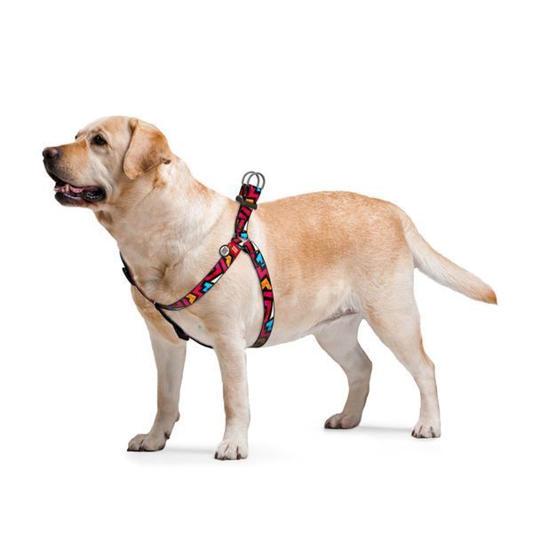 Collar WAUDOG Nylon з QR-паспортом Шлея для собак, малюнок "Графіті", пластиковий фастекс, Ш 10 мм, Довж. 28-40 см 5263 фото
