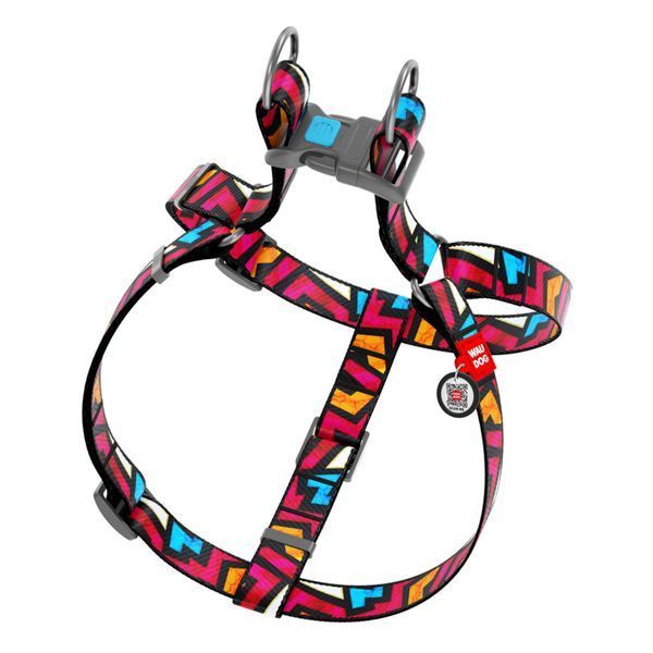 Collar WAUDOG Nylon з QR-паспортом Шлея для собак, малюнок "Графіті", пластиковий фастекс, Ш 10 мм, Довж. 28-40 см 5263 фото