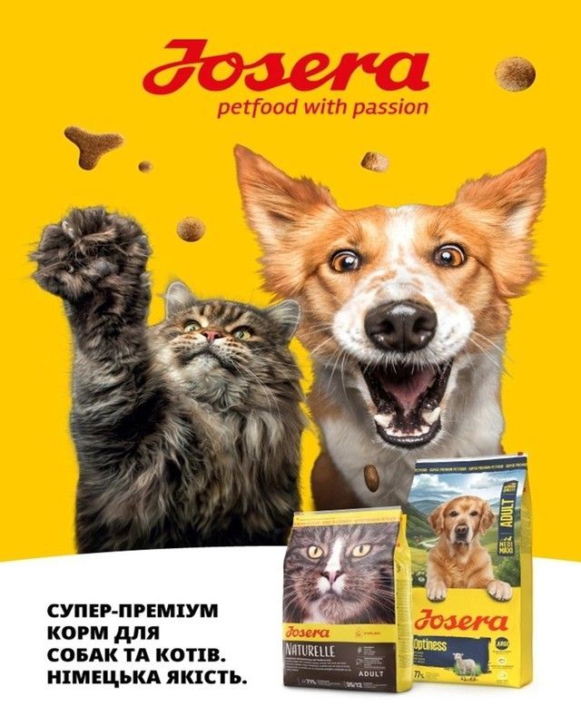 Banner from design