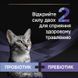 Purina Pro Plan Fortiflora PLUS Felline (уп. 30 саше), 1 саше 2309109000 фото 7
