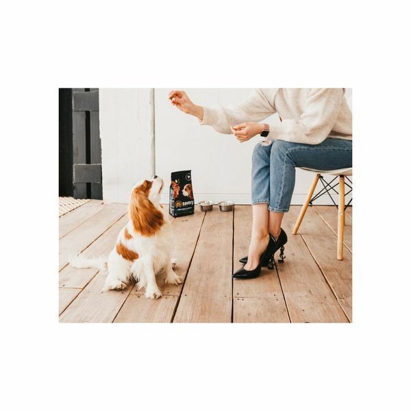 Savory Puppy rich in Fresh Turkey & Chicken Корм сухий для цуценят всіх порід зі свіжою індичкою і куркою 1 кг 30280 фото