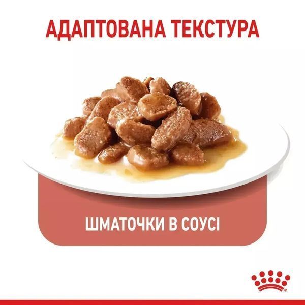 Royal Canin Appetite Control Вологий корм для котів 85 г 1466001 фото