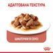Royal Canin Appetite Control Вологий корм для котів 85 г 1466001 фото 2