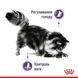 Royal Canin Appetite Control Вологий корм для котів 85 г 1466001 фото 3