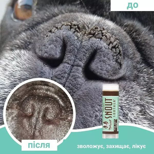 Natural Dog Company Бальзам для носика Snout Soother 4.25мл стік ND-SNSR-01 фото
