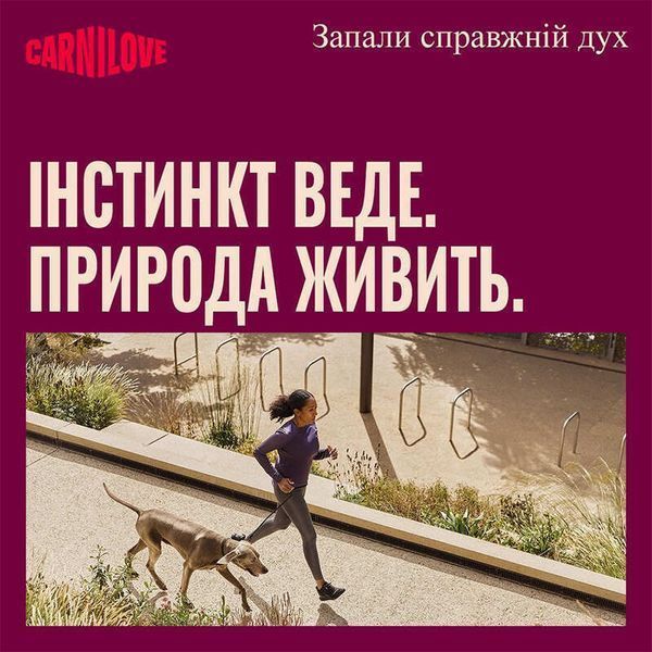 Ласощі Carnilove Crunchy Snack Wild Boar with Rosehips для собак хрусткі дикий кабан і шипшина 200 г 100797 фото